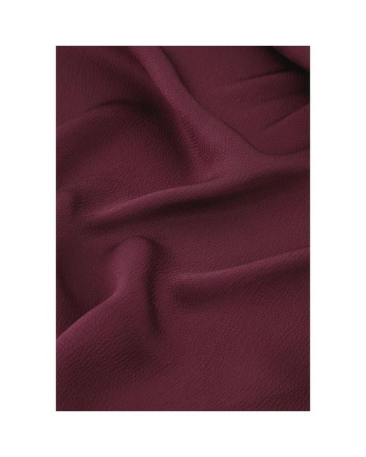 FABIENNE CHAPOT Maxi Skirts in het Purple