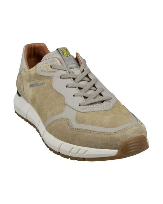 Salamander Low Sneaker in Gray für Herren