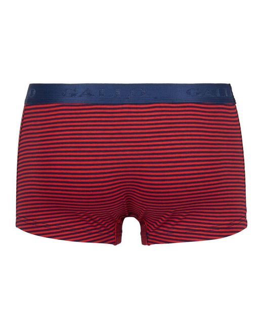 Bottoms di Gallo in Red da Uomo