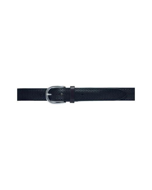 Orciani Blue Belts for men