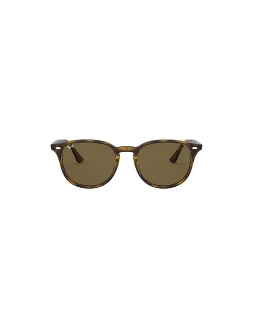 Ray-Ban Brown Sunglasses