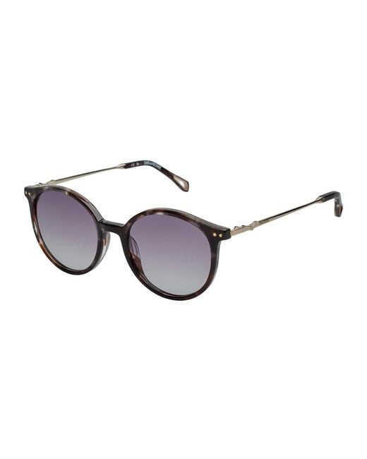 Sunglasses di Zadig & Voltaire in Brown