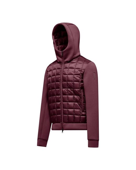 Winter Jackets Bomboogie pour homme en coloris Purple