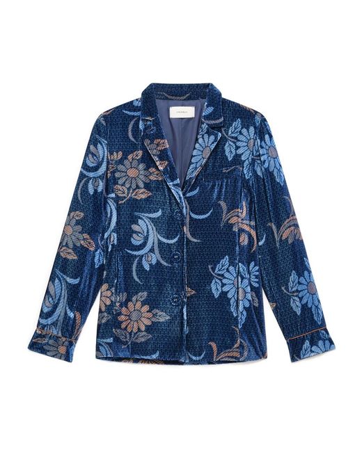 Maliparmi Blue Blazers