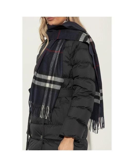Burberry Blue Winter Scarves