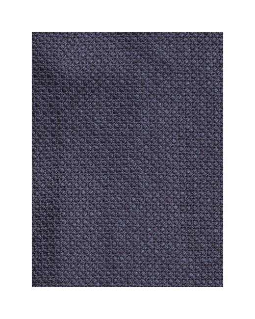 Ties Lardini pour homme en coloris Blue