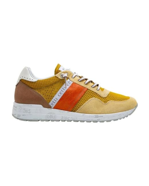 Cetti Sneakers Hombre in Brown für Herren