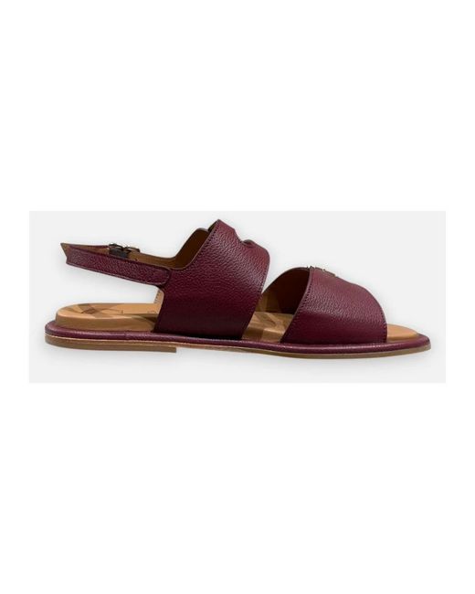 Calce Brown X2569 Berta
