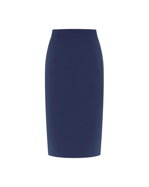 Alberta Ferretti Blue Midi Skirts