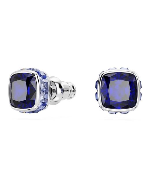 Swarovski Blue Uhren
