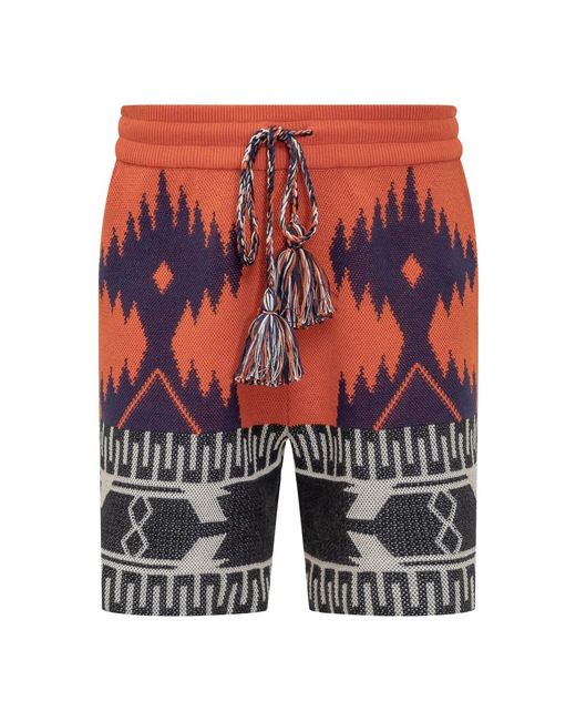 Alanui Casual Shorts in het Multicolor voor heren