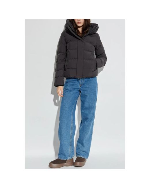 Save The Duck Winter Jackets in het Gray