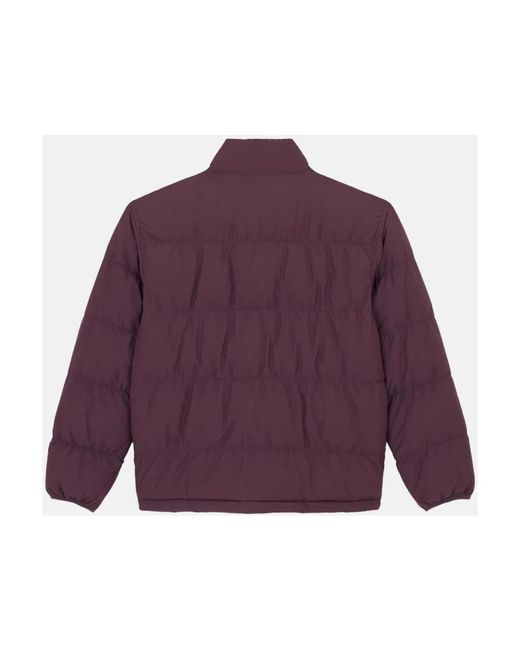 Dickies Jassen ,Paars ,Polyester Puffer Jacket Plum Perfect in het Purple voor heren