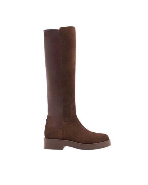 Charlie Stretch Suede Boots di Casadei in Brown