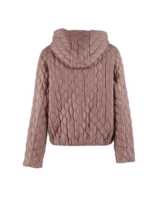 Winter Jackets DUNO de color Brown