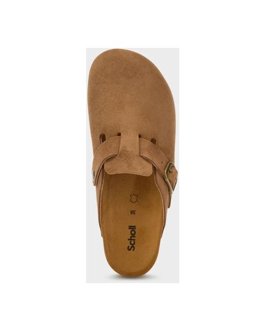 Mules Scholl de color Brown