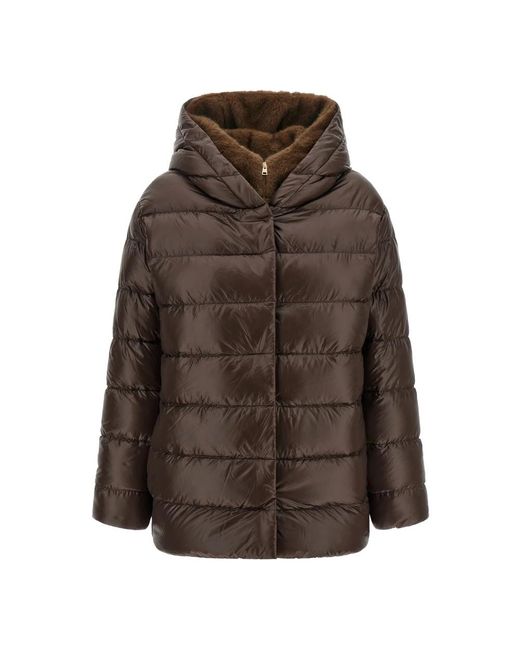 Down Jackets Herno en coloris Brown