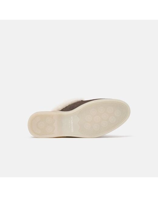 Scarosso Brown Mules