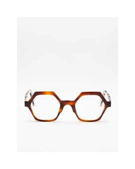 Moli Limo Brown Glasses