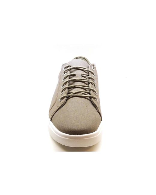 Timberland White Sneakers for men