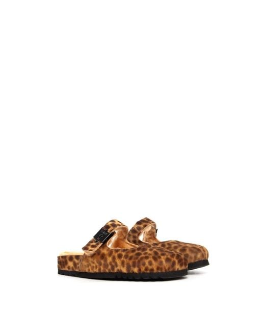 Mules di Scholl in Brown