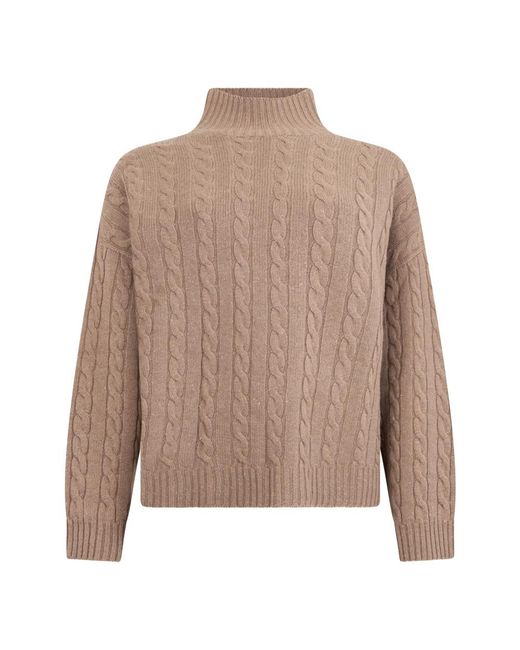Peserico Brown Turtlenecks