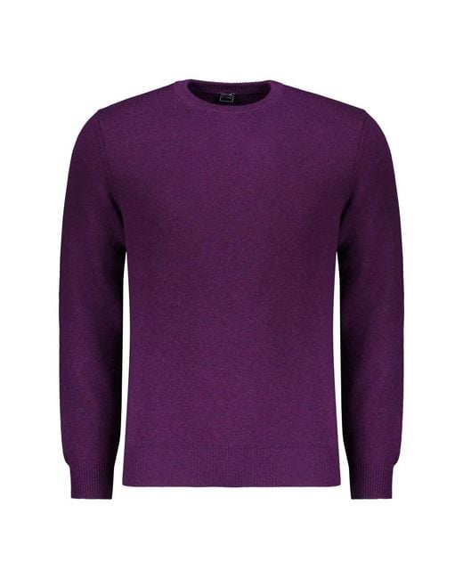 Fedeli Truien in het Purple voor heren