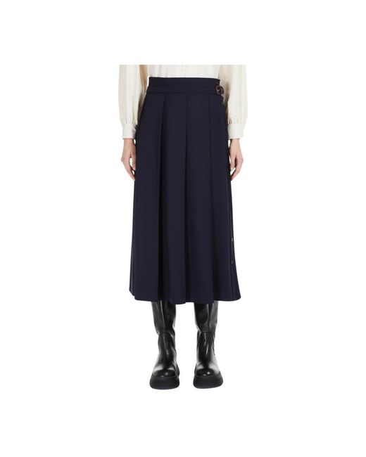 Max Mara Midi Rok in het Blue