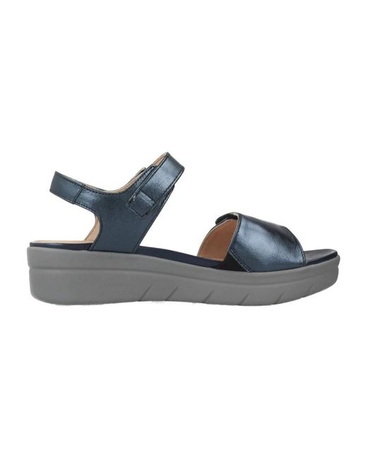 Stonefly Wedges in het Blue
