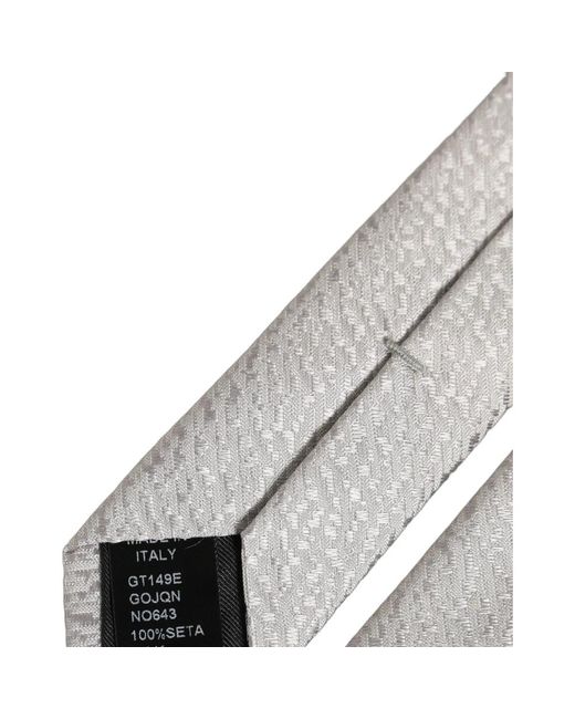 Dolce & Gabbana Gray Ties for men