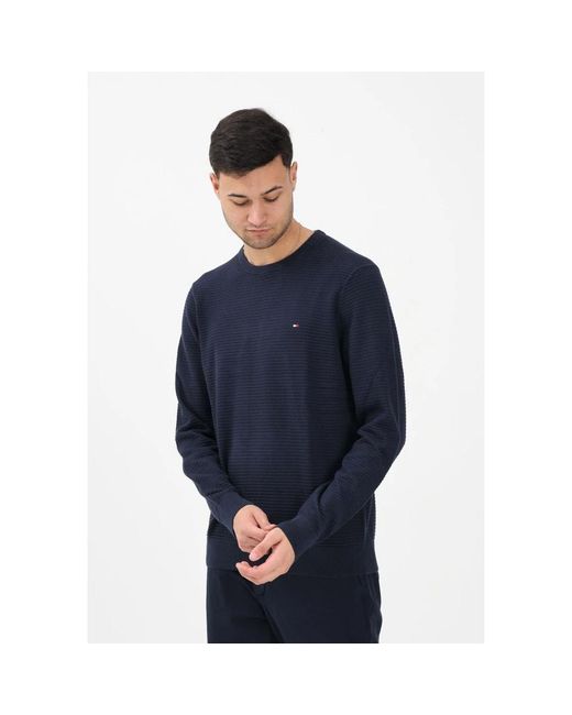 Tommy Hilfiger Blue Round-Neck Knitwear for men