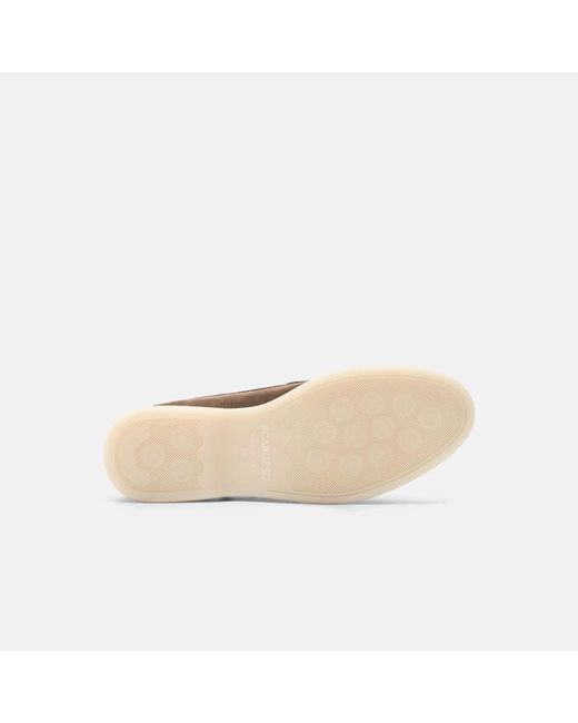 Loafers Scarosso en coloris Brown