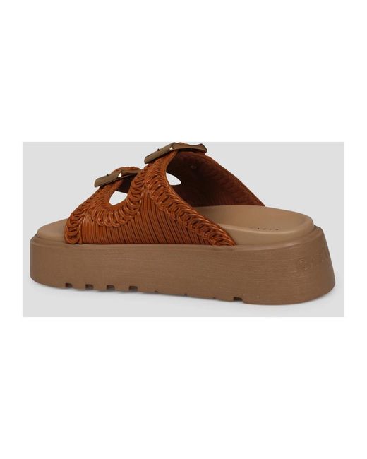 Shoes > flip flops & sliders > sliders Casadei en coloris Brown