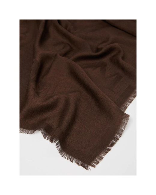 Max Mara Brown Scarves