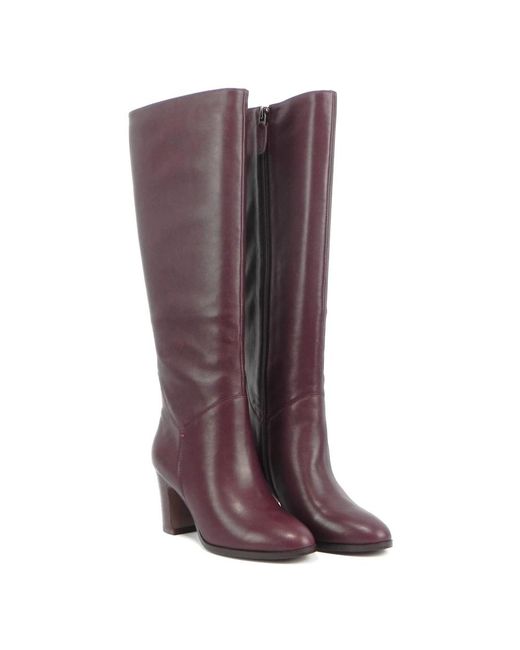 Bibi Lou Brown Over-The-Knee Boots
