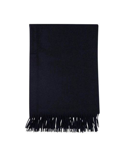 Max Mara Blue Winter Scarves