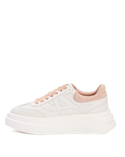 Ash White Sneakers