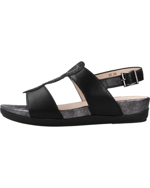 Wedges Stonefly de color Black