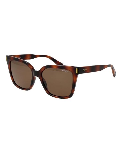Polaroid Brown Sunglasses