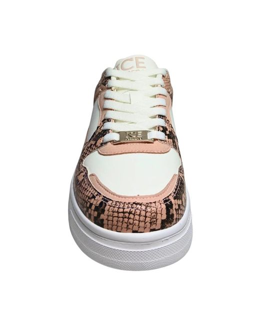 Iceberg Brown Sneakers for men