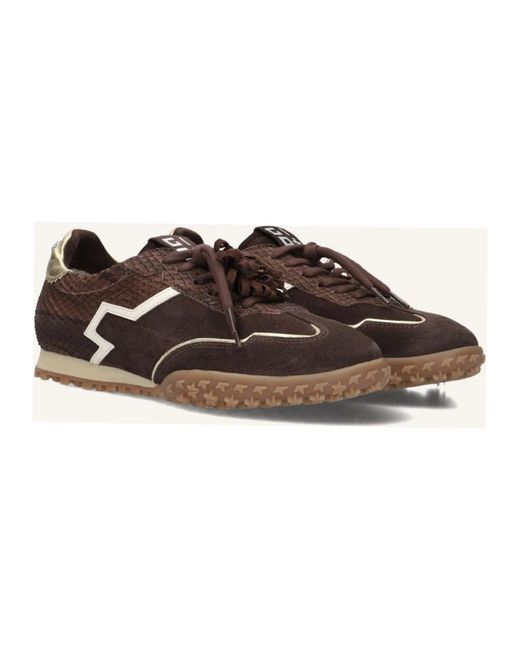 GIO+ Cielo Sneaker in het Brown