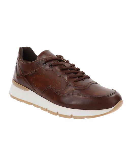 Nero Giardini Brown Sneakers for men