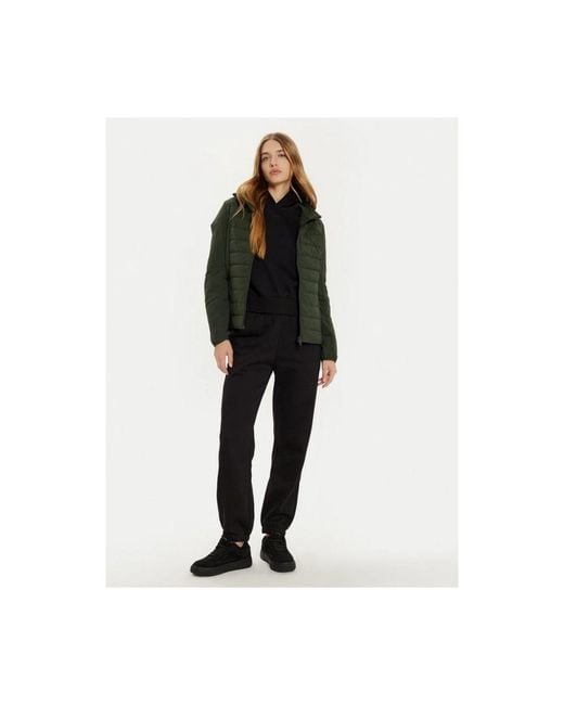 Winter Jackets Champion de color Green