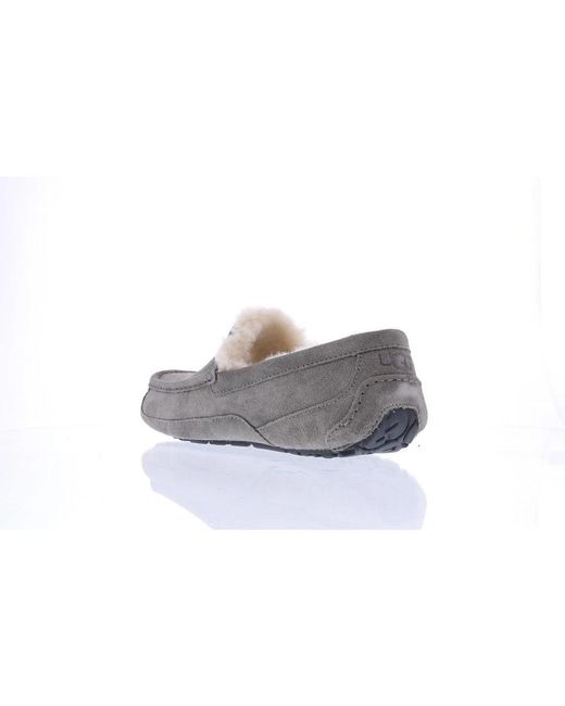 Ugg Schoenen ,Grijs ,Wol Ascot Slipper in het Gray voor heren