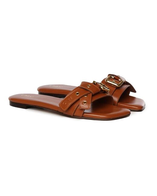 Chloé Brown Sliders
