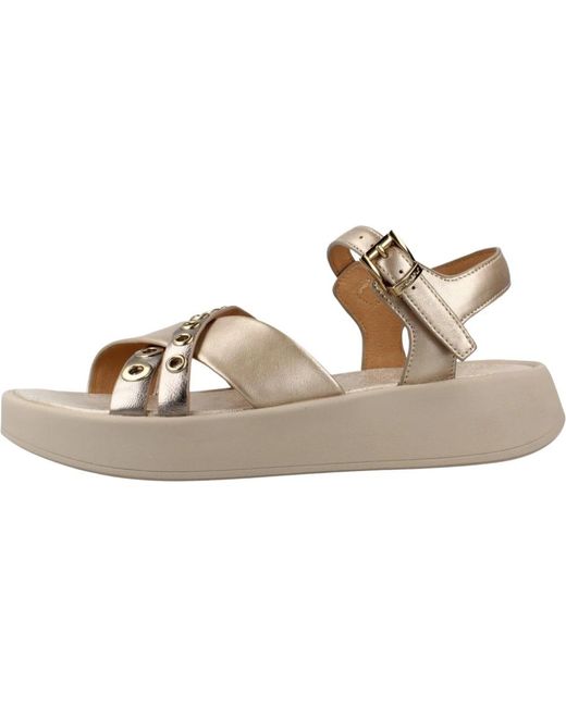 Wedges Stonefly de color Brown