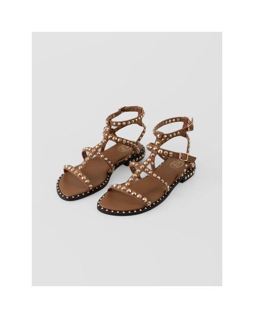 Ash Brown Flat Sandals