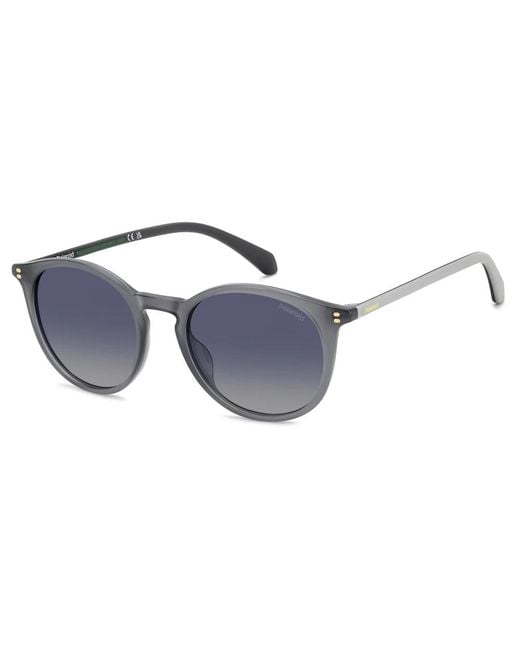 Polaroid Blue Sunglasses for men