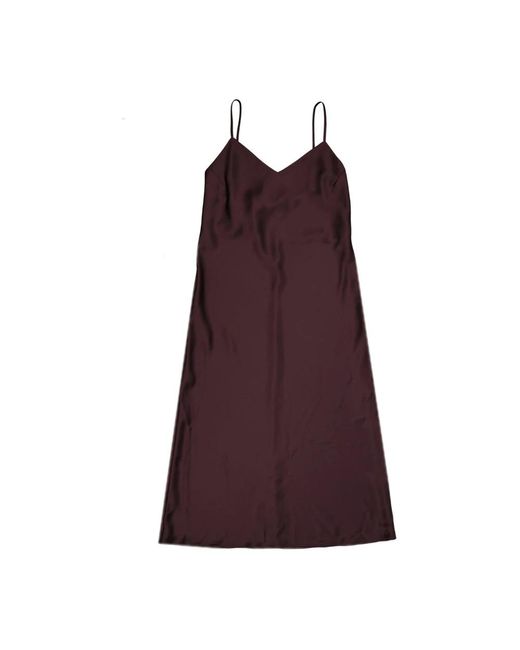 Blanca Vita Purple Short Dresses