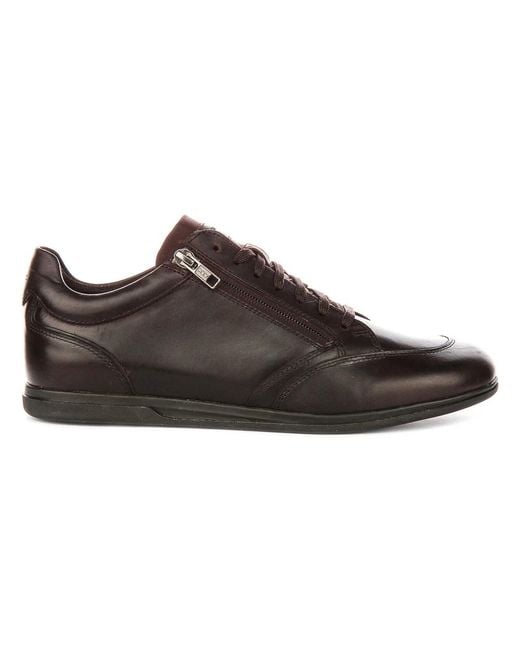 Geox Brown Sneakers for men